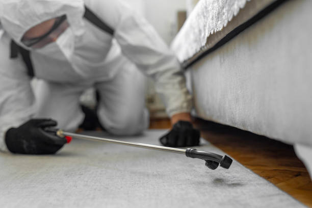 Professional Cockroach Control technician working in Manistee, MI