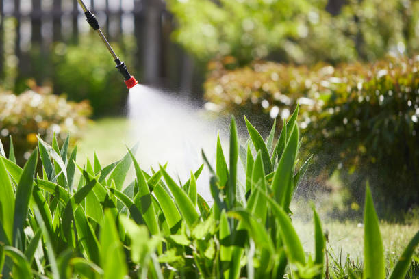 24/7 Emergency Cockroach Control experts in Manistee, MI