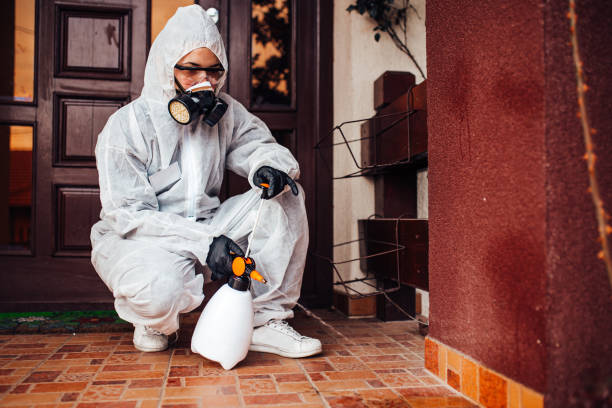 Reliable Cockroach Control contractor in Manistee, MI by Nex Pest Control